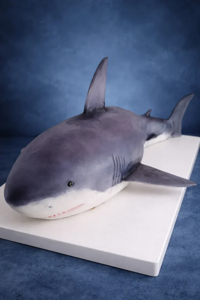hai torte